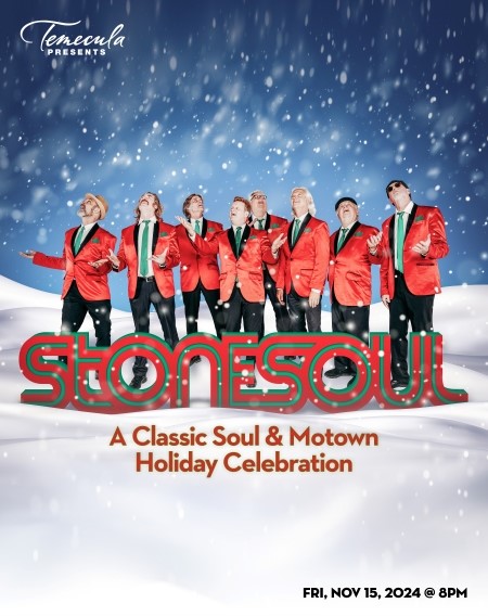 STONE SOUL (MOTOWN TRIBUTE)